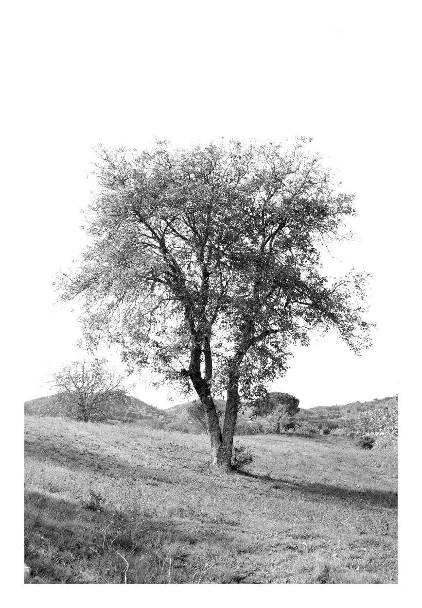senza senso
